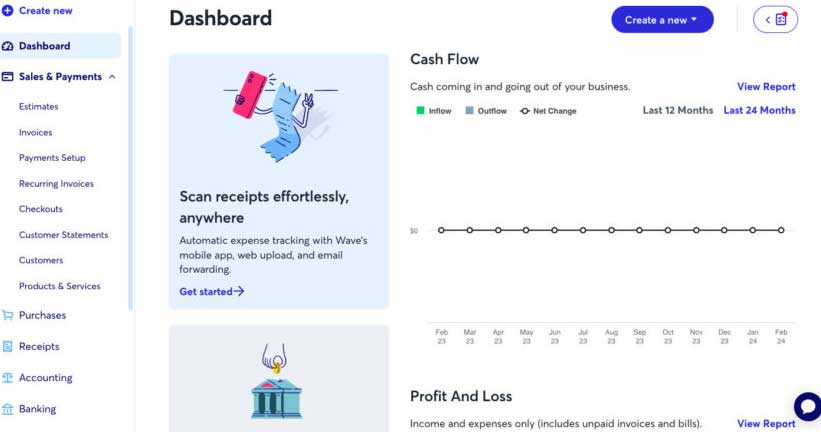 Wave Accounting Review